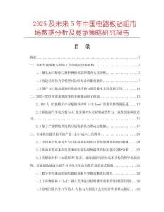 2025及未來5年中國電路板鉆咀市場數(shù)據(jù)分析及競爭策略研究報告