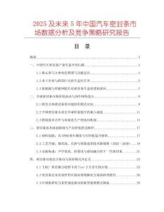2025及未來5年中國汽車密封條市場數(shù)據(jù)分析及競爭策略研究報(bào)告