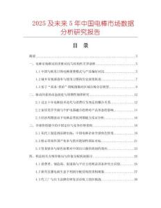 2025及未來(lái)5年中國(guó)電棒市場(chǎng)數(shù)據(jù)分析研究報(bào)告