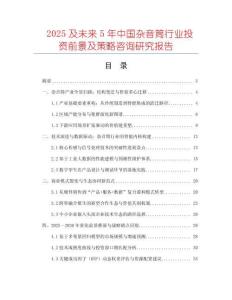 2025及未來5年中國雜音筒行業投資前景及策略咨詢研究報告
