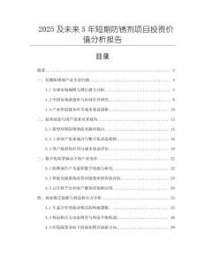 2025及未來5年短期防銹劑項目投資價值分析報告