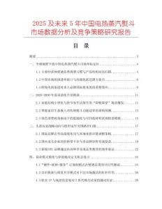 2025及未來5年中國電熱蒸汽熨斗市場數(shù)據(jù)分析及競爭策略研究報告