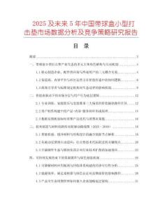 2025及未来5年中国带球盒小型打击垫市场数据分析及竞争策略研究报告