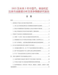 2025及未來5年中國汽、柴油機(jī)缸壓表市場數(shù)據(jù)分析及競爭策略研究報(bào)告