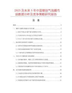 2025及未來5年中國鍍鋁氣泡膜市場數(shù)據(jù)分析及競爭策略研究報(bào)告