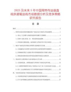 2025及未来5年中国网带传送值直线烘道输送线市场数据分析及竞争策略研究报告