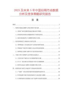 2025及未來5年中國鉛網(wǎng)市場(chǎng)數(shù)據(jù)分析及競(jìng)爭(zhēng)策略研究報(bào)告