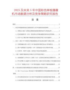 2025及未來5年中國彩色單板攝像機市場數(shù)據(jù)分析及競爭策略研究報告