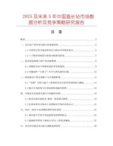 2025及未來5年中國直長鉆市場數(shù)據(jù)分析及競爭策略研究報告