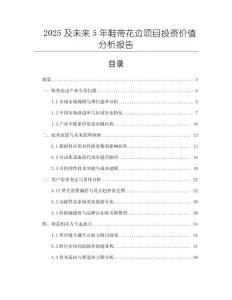 2025及未來5年鞋帶花邊項目投資價值分析報告