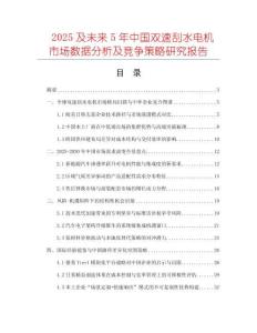 2025及未来5年中国双速刮水电机市场数据分析及竞争策略研究报告