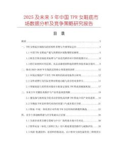 2025及未來5年中國TPR女鞋底市場數據分析及競爭策略研究報告