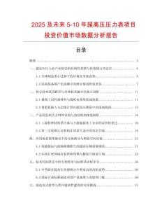 2025及未來5-10年超高壓壓力表項目投資價值市場數(shù)據(jù)分析報告
