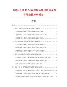 2025及未来5-10年铜丝项目投资价值市场数据分析报告