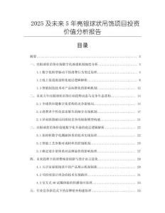 2025及未來5年亮銀球狀吊飾項目投資價值分析報告