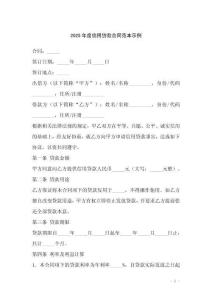 2025年度信用貸款合同范本示例