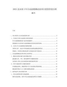 2025及未來5年自動波箱測試表項目投資價值分析報告