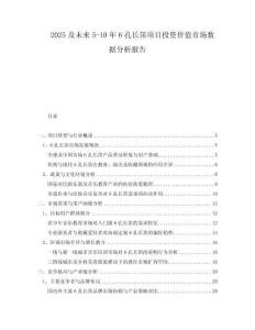 2025及未來(lái)5-10年6孔長(zhǎng)笛項(xiàng)目投資價(jià)值市場(chǎng)數(shù)據(jù)分析報(bào)告