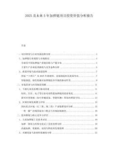 2025及未來(lái)5年加彈鏈項(xiàng)目投資價(jià)值分析報(bào)告