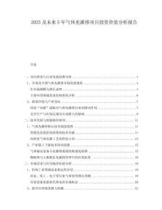2025及未來5年氣體充灌排項(xiàng)目投資價(jià)值分析報(bào)告