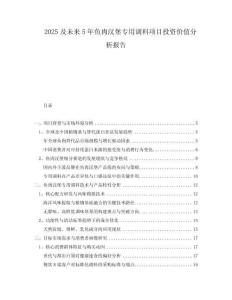 2025及未来5年鱼肉汉堡专用调料项目投资价值分析报告