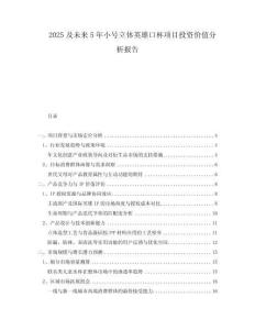 2025及未來(lái)5年小號(hào)立體英雄口杯項(xiàng)目投資價(jià)值分析報(bào)告