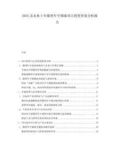 2025及未來5年微型車空調(diào)器項(xiàng)目投資價(jià)值分析報(bào)告