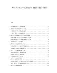 2025及未來5年取暖燈管項目投資價值分析報告