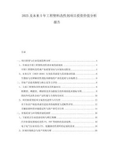 2025及未来5年工程塑料改性剂项目投资价值分析报告