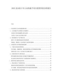 2025及未來(lái)5年六內(nèi)角扳手項(xiàng)目投資價(jià)值分析報(bào)告