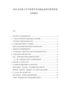 2025及未來5年中輕型車傳動(dòng)軸總成項(xiàng)目投資價(jià)值分析報(bào)告
