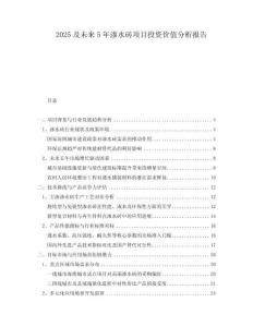 2025及未來5年滲水磚項目投資價值分析報告