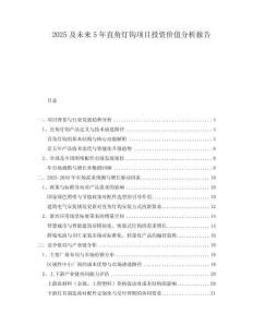 2025及未來5年直角燈鉤項(xiàng)目投資價(jià)值分析報(bào)告