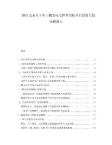 2025及未來5年三相發(fā)電電焊兩用機項目投資價值分析報告