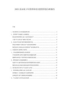 2025及未來5年茶香米項目投資價值分析報告