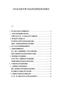 2025及未來5年賈卡花邊項(xiàng)目投資價(jià)值分析報(bào)告