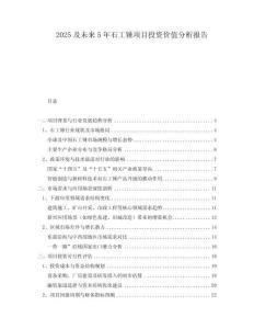 2025及未來5年石工錘項目投資價值分析報告