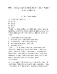 2025廣西南寧市賓陽(yáng)縣新橋鎮(zhèn)儲(chǔ)備村（社區(qū)）“兩委”后備人才模擬試卷及1套參考答案詳解