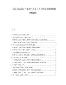2025及未來5年黃銅自鎖頭開式拉鏈項目投資價值分析報告