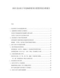 2025及未來5年連柄砂輪項目投資價值分析報告
