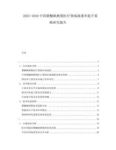 2025-2030中國聚醚砜樹脂醫(yī)療領(lǐng)域滲透率提升策略研究報(bào)告