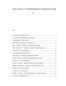 2025及未來(lái)5年多媒體播放板項(xiàng)目投資價(jià)值分析報(bào)告