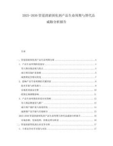 2025-2030管道清淤固化劑產(chǎn)品生命周期與替代品威脅分析報(bào)告