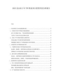 2025及未來5年TPR鞋底項目投資價值分析報告