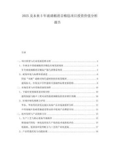 2025及未來5年玻璃棉消音棉氈項(xiàng)目投資價(jià)值分析報(bào)告