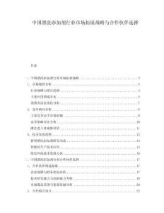 中國漂洗添加劑行業(yè)市場拓展戰(zhàn)略與合作伙伴選擇