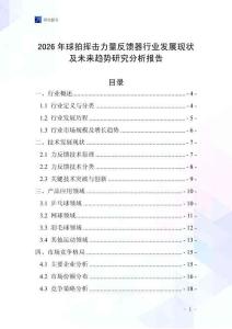 2026年球拍揮擊力量反饋器行業發展現狀及未來趨勢研究分析報告