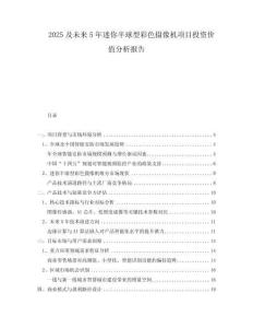 2025及未來5年迷你半球型彩色攝像機項目投資價值分析報告