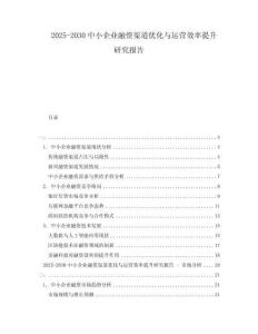 2025-2030中小企業(yè)融資渠道優(yōu)化與運(yùn)營效率提升研究報(bào)告
