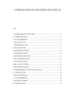 中國漂洗添加劑行業(yè)專利布局現(xiàn)狀與技術突圍方向